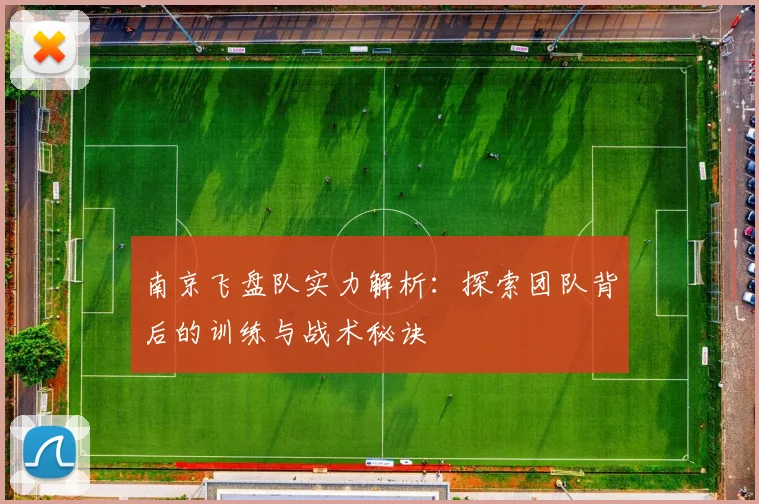 南京飞盘队实力解析：探索团队背后的训练与战术秘诀