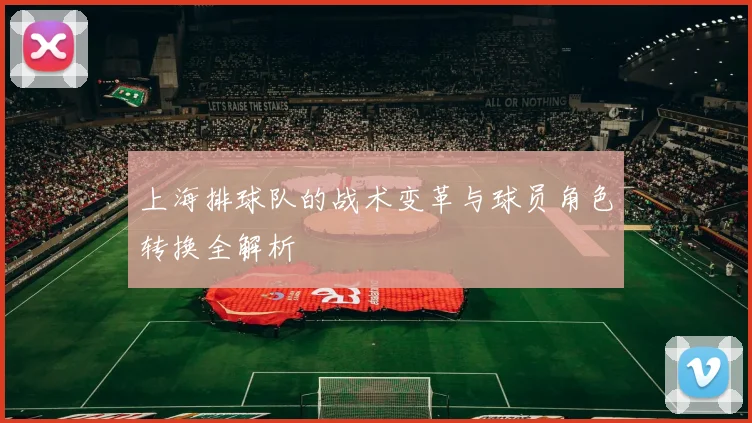 上海排球队的战术变革与球员角色转换全解析