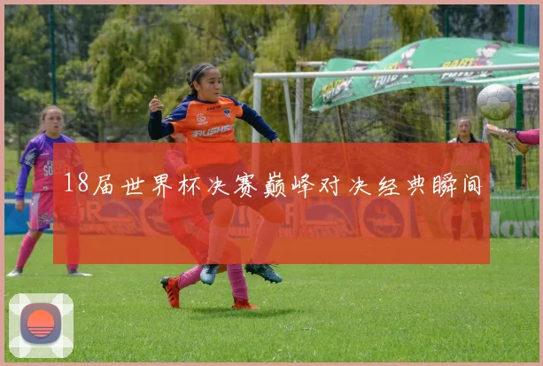 18届世界杯决赛巅峰对决经典瞬间